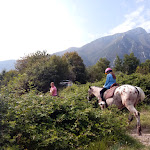 Photo n°3 de l'avis de Zamira.l fait le 20/09/2020 à 15:40 sur le  Agriturismo Scuderia Castello à Toscolano Maderno