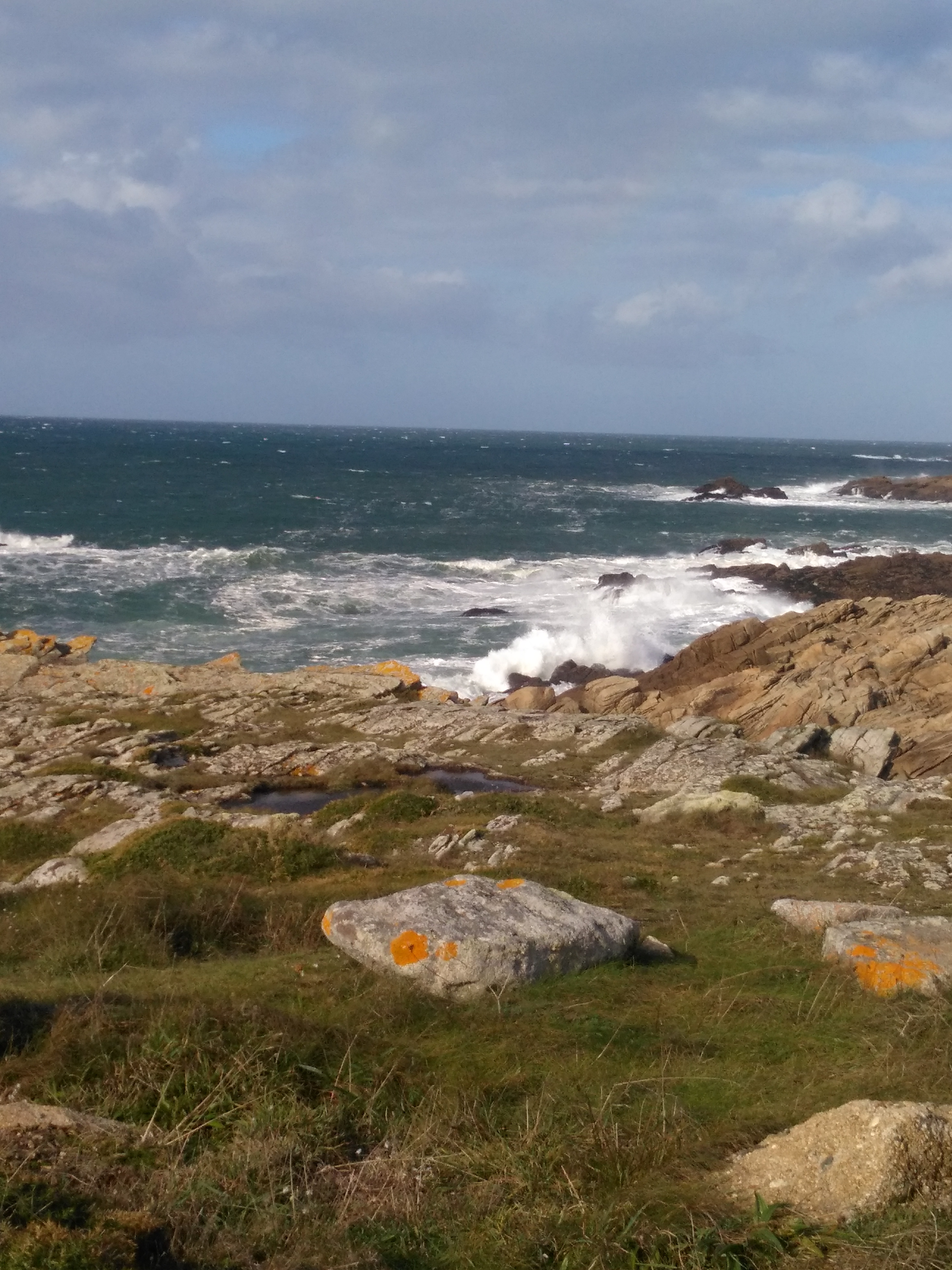 Photo n° 2 de l'avis de Anne-Marie.o fait le 20/10/2019 à 06:20