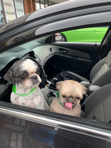 Pet Supply Store «Dawgs N Whiskers», reviews and photos, 9177 700 E, Sandy, UT 84094, USA