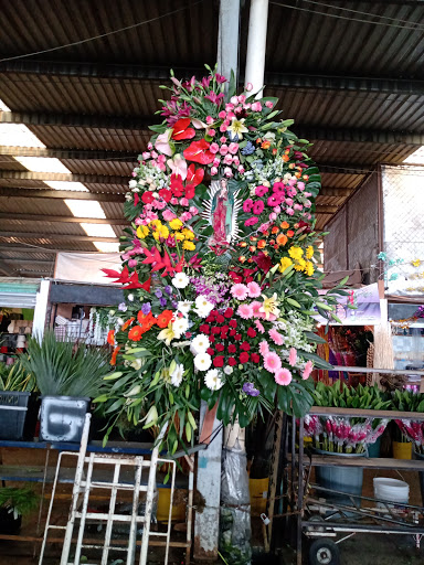 Florería 