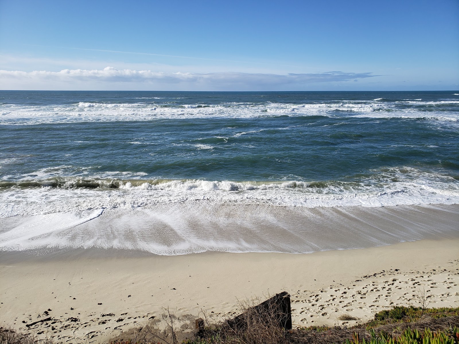 Foto von Moss Beach wilde gegend