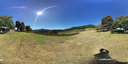 Winery «David Hill Vineyards & Winery», reviews and photos, 46350 NW David Hill Rd, Forest Grove, OR 97116, USA