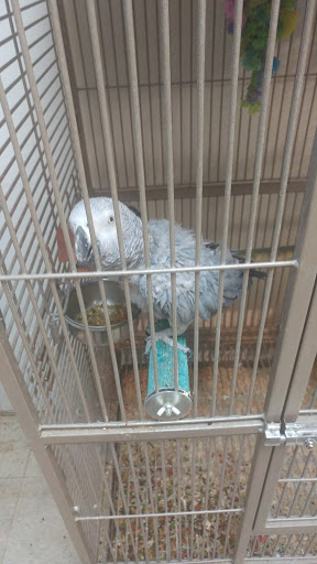 Pet Store «Pet Planet», reviews and photos, 11968 S Redwood Rd, Riverton, UT 84065, USA