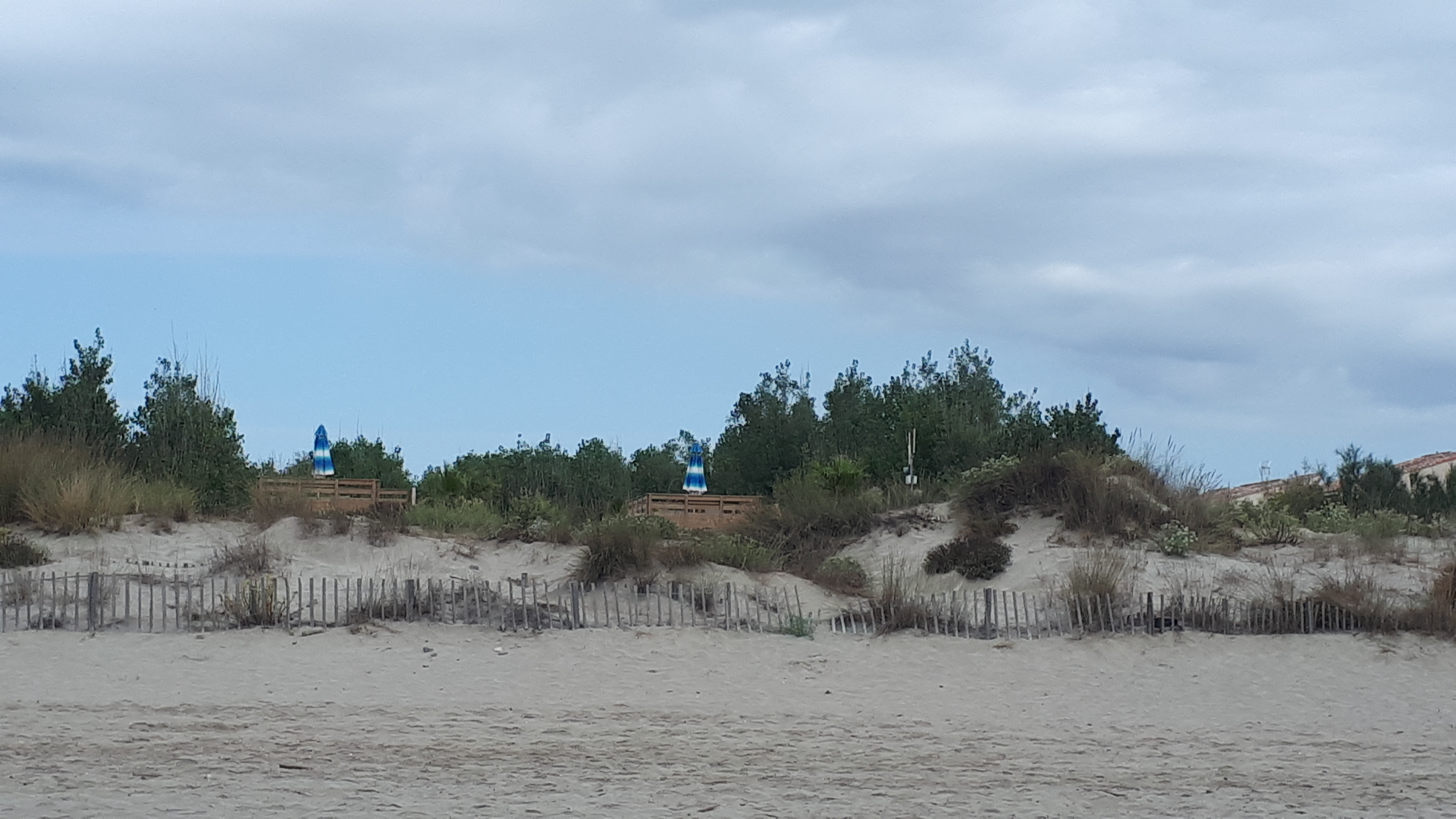 Photo n° 39 de l'avis de Virginie.e fait le 20/08/2020 à 16:45