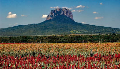 Cerro del Bernal