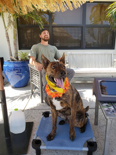 Pet Store «Wholesome Hound», reviews and photos, 198 Tamiami Trail N, Naples, FL 34102, USA