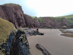 Foto av Kinard Beach beläget i naturområde