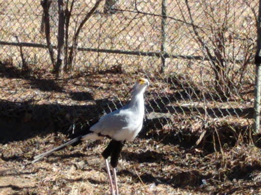 Museum «Tropical Discovery», reviews and photos, 2900 E 23rd Ave, Denver, CO 80205, USA