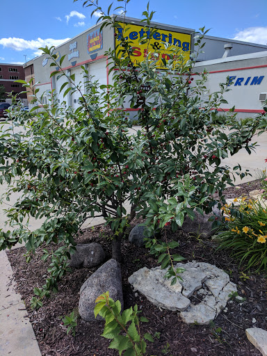 Wine Bar «Wine Guyz», reviews and photos, 122 King St, La Crosse, WI 54601, USA