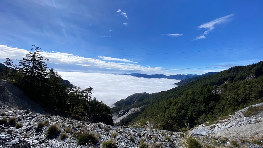 La Mi-août懶貓窯烤披薩餐車 的照片