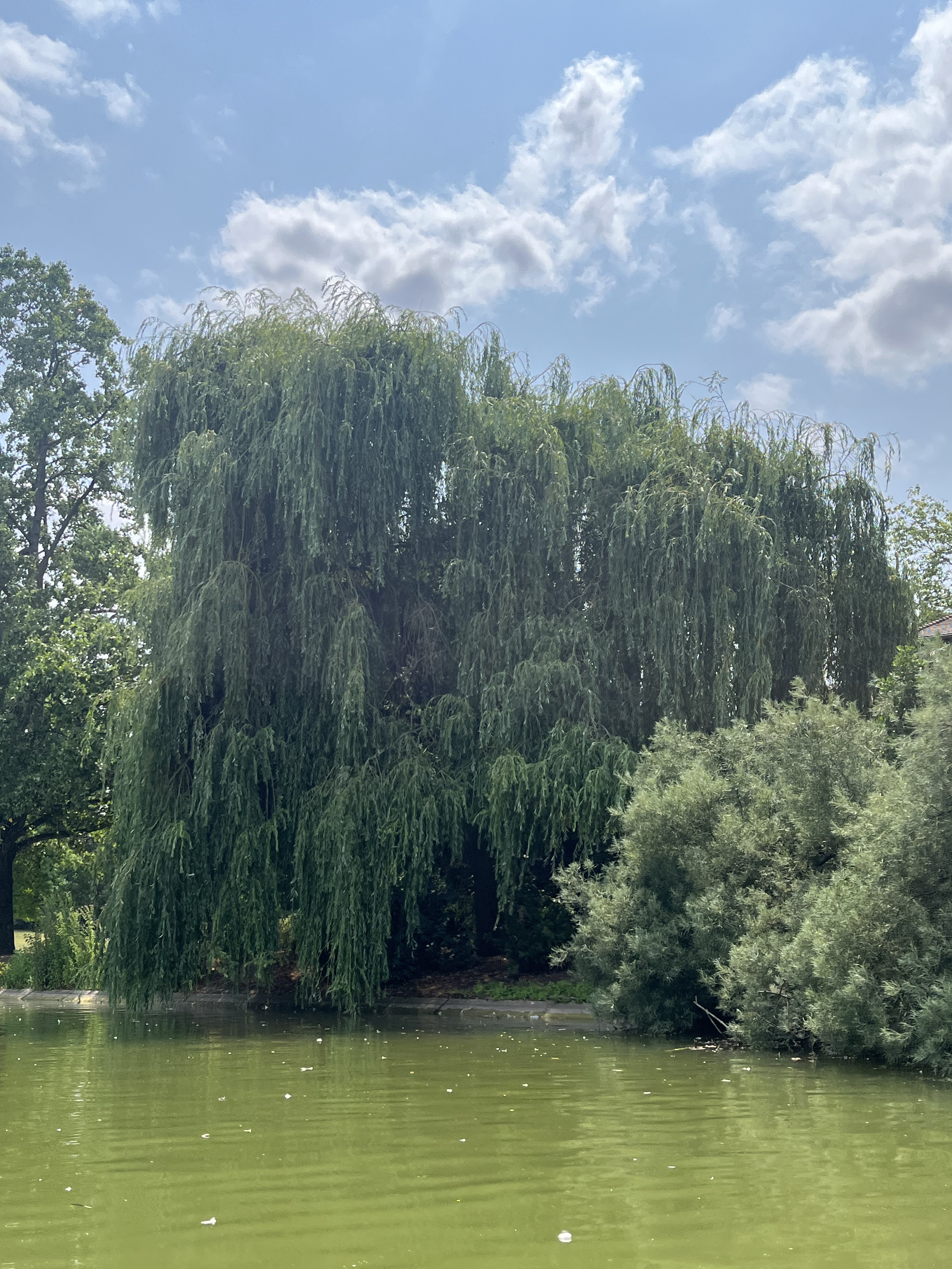 Photo n° 1 de l'avis de ENIGMA. fait le 27/06/2023 à 10:01