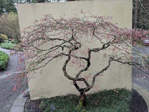 Botanical Garden «Rhododendron Species Botanical Garden», reviews and photos, 2525 S 336th St, Federal Way, WA 98003, USA