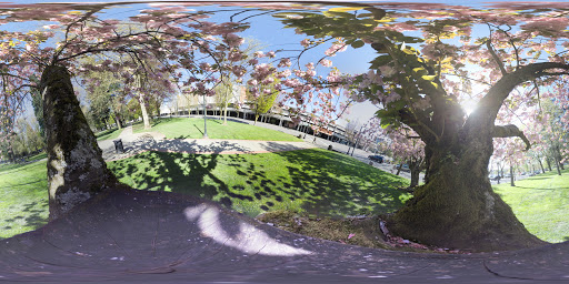 Park «Holladay Park», reviews and photos, NE Holladay St & NE 11th Ave, Portland, OR 97232, USA