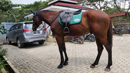 Kezillaz Horse Saddle Jakarta