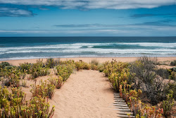 Fotografie cu Waitpinga Beach amplasat într-o zonă naturală
