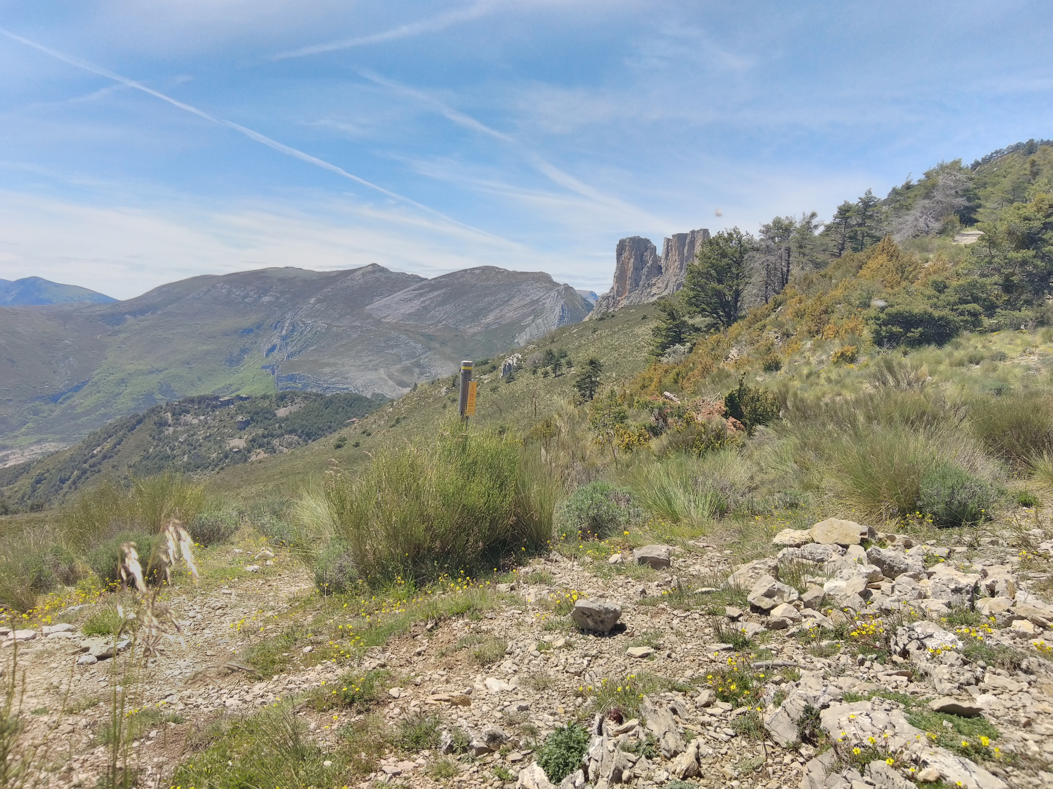Photo n° 3 de l'avis de frederic.o fait le 23/05/2021 à 13:52