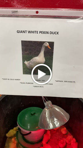 Animal Feed Store «Franklin Hardware & Pet Center», reviews and photos, 1975 Philadelphia Ave, Chambersburg, PA 17201, USA