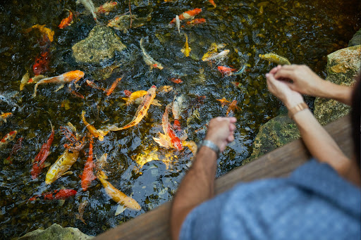 Sightseeing Tour Agency «Jungle Queen Riverboat», reviews and photos, 801 Seabreeze Blvd, Fort Lauderdale, FL 33316, USA