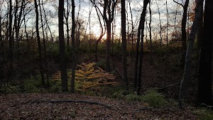 Elliott Woods State Nature Preserve - photo 69