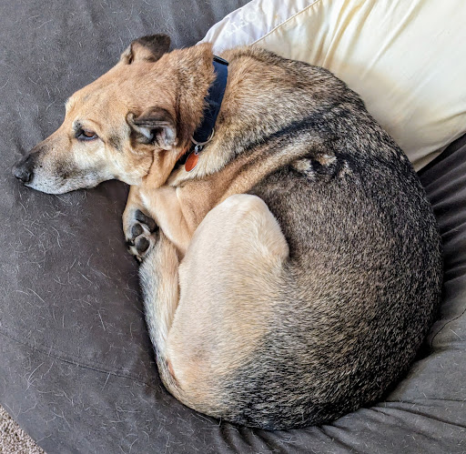 Clarks Grove Veterinary Clinic