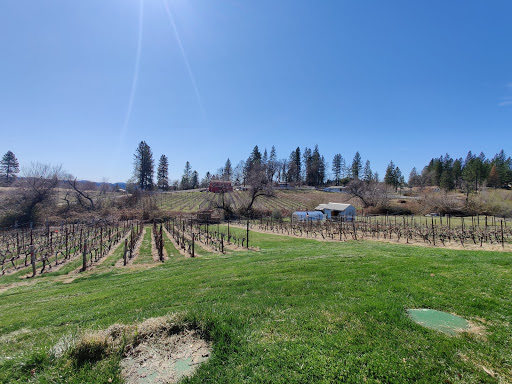 Winery «Montoliva Vineyard & Winery», reviews and photos, 15629 Mt Olive Rd, Grass Valley, CA 95945, USA