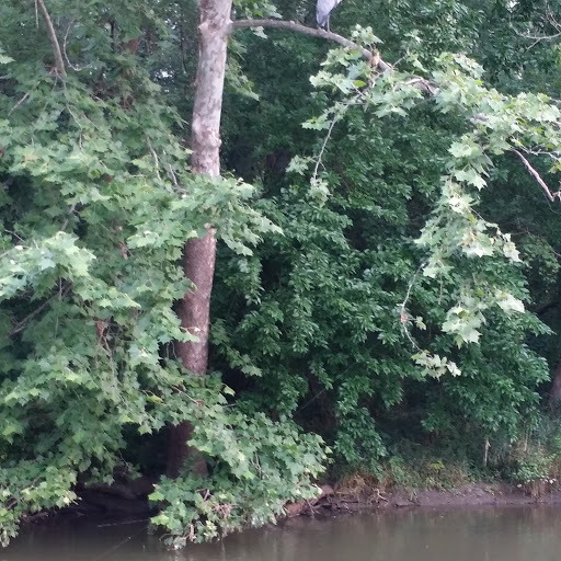 Park «Falls Park», reviews and photos, 460 Falls Park Dr, Pendleton, IN 46064, USA