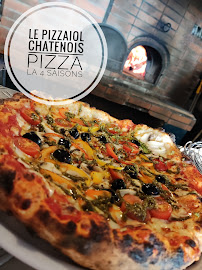 Pizza du Pizzeria Le Pizzaiol à Châtenois - n°11