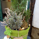 Photo n°4 de l'avis de Sascha. fait le 22/10/2017 à 12:28 sur le  GastWerk à Melle