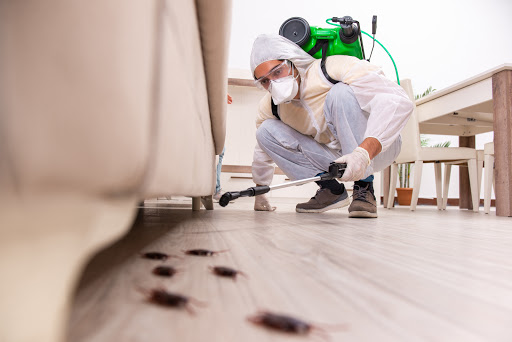 Moat Termite & Pest Control image
