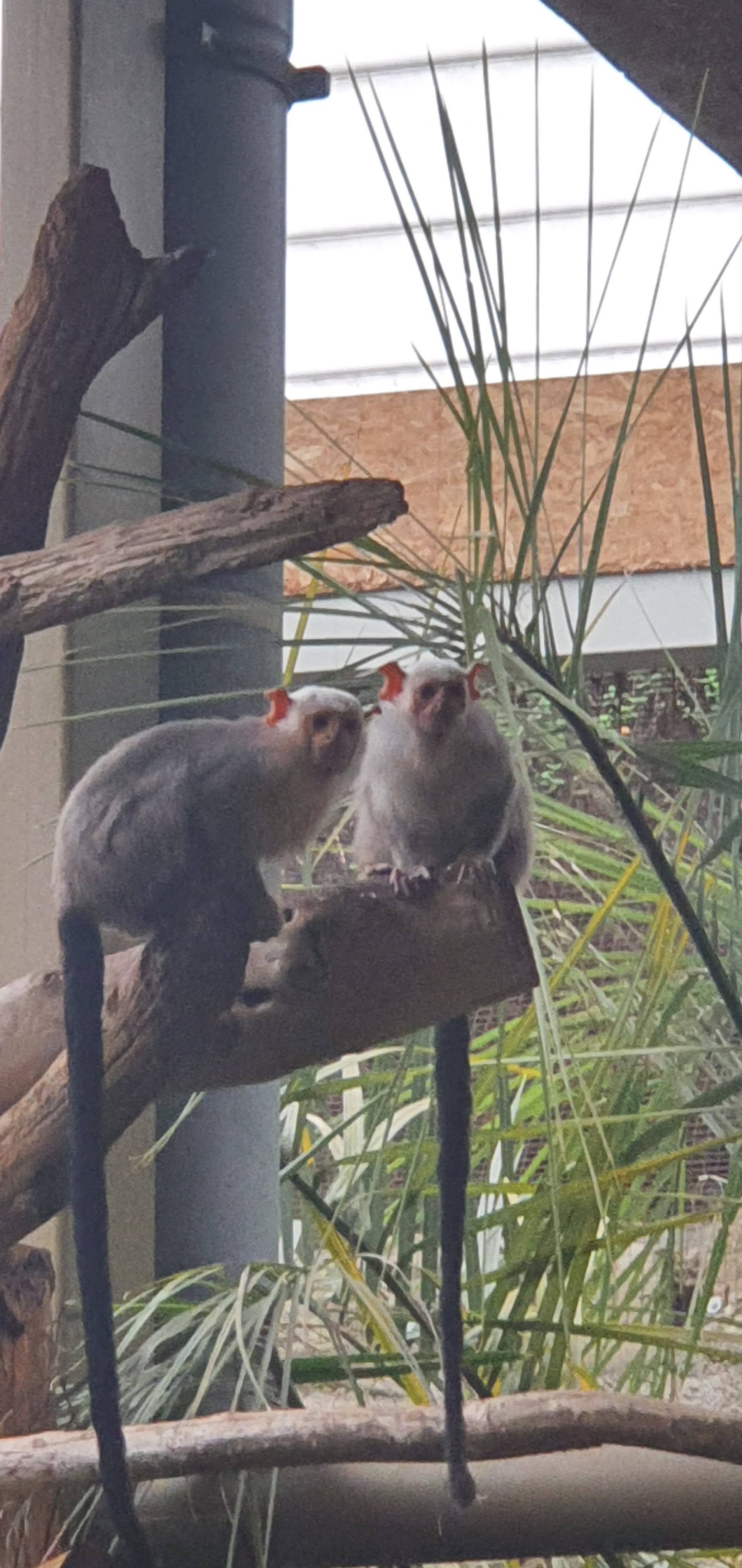 Photo n° 10 de l'avis de Beatrice.o fait le 20/08/2022 à 07:43