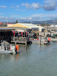 Photo n°94 de L'hippocampe à Leucate ()