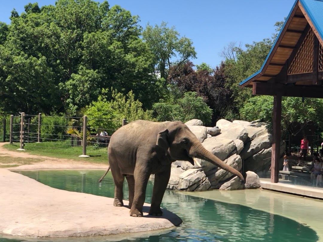 Denver Zoo