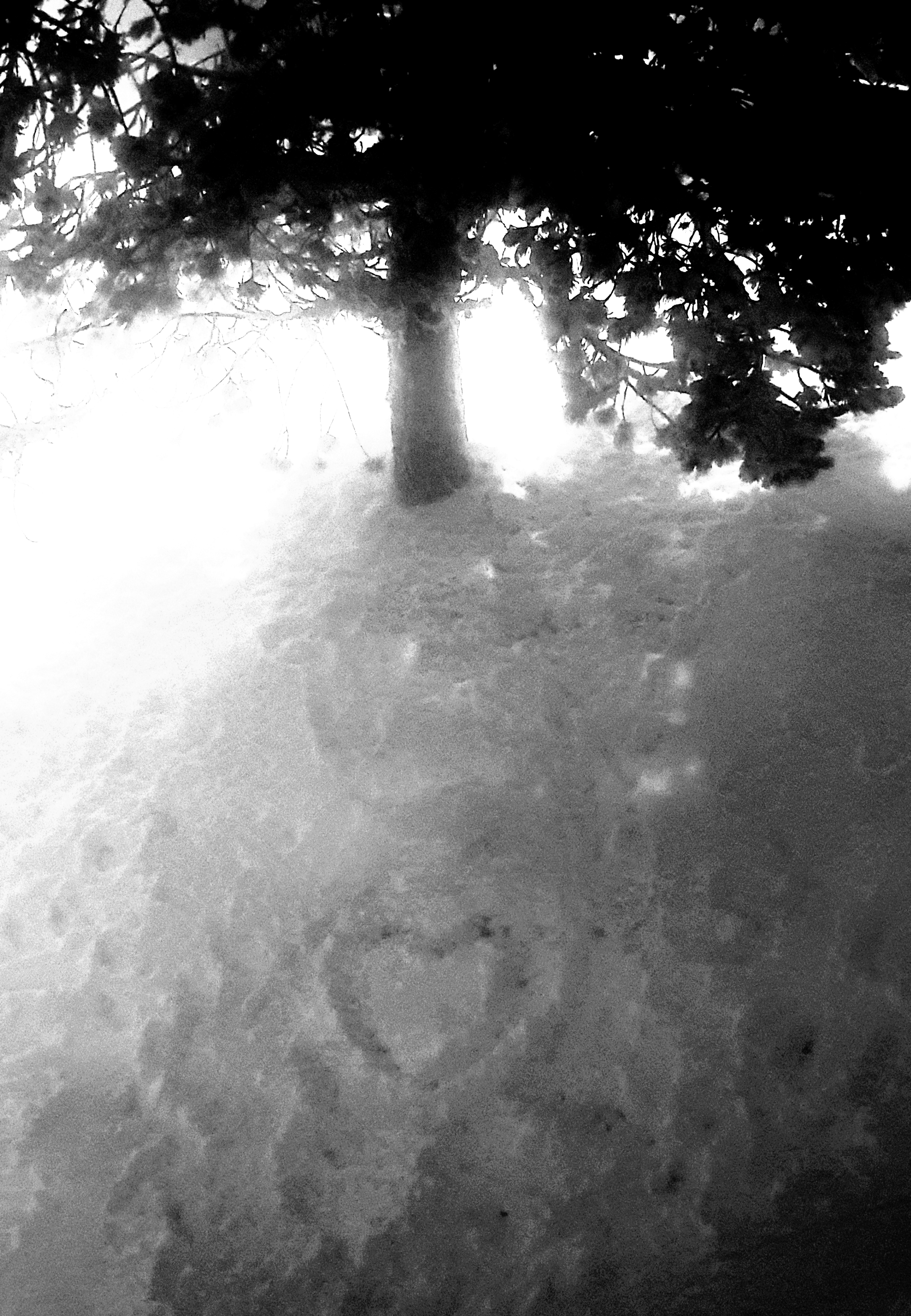 Photo n° 1 de l'avis de Anne.a fait le 03/01/2021 à 08:14
