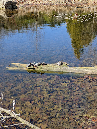 Botanical Garden «Olbrich Botanical Gardens», reviews and photos, 3330 Atwood Ave, Madison, WI 53704, USA