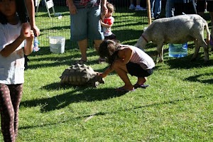 Little Explorers Mobile Petting Zoo - photo 9