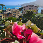 Photo n°33 de l'avis de Roberto.r fait le 11/03/2023 à 21:01 sur le  Villa Gelsomino Exclusive House à Santa Margherita Ligure