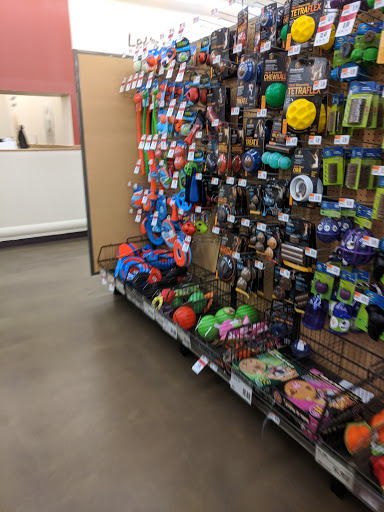 Pet Supplies Plus Delhi