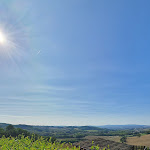 Photo n°9 de l'avis de Michela.r fait le 01/10/2023 à 16:50 sur le  Ristorante Fattoria Luchetti à Collazzone
