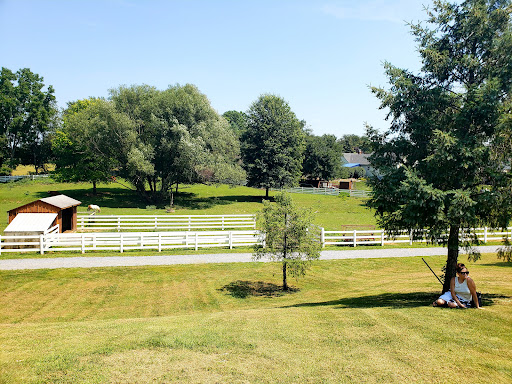 Heritage Museum «The Amish Farm and House», reviews and photos, 2395 Covered Bridge Dr, Lancaster, PA 17602, USA