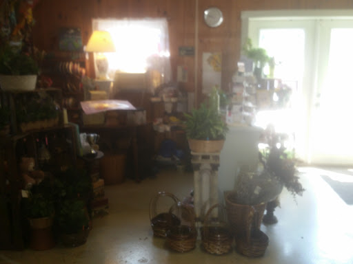 Florist «All Occasion Florist, LLC», reviews and photos, 2091 Edgewood Rd, Chambersburg, PA 17202, USA