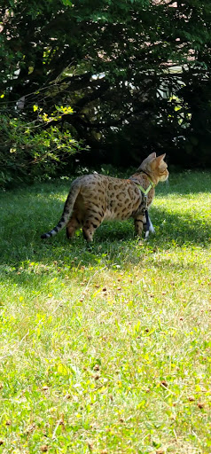 Pet Supply Store «Pet Barn», reviews and photos, 785 Main St, Holden, MA 01520, USA