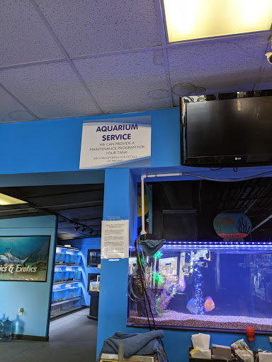 Tropical Fish Store «Aquatics & Exotics», reviews and photos, 7513 Hamilton Ave, Cincinnati, OH 45231, USA