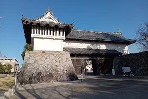 Saga Castle Park image