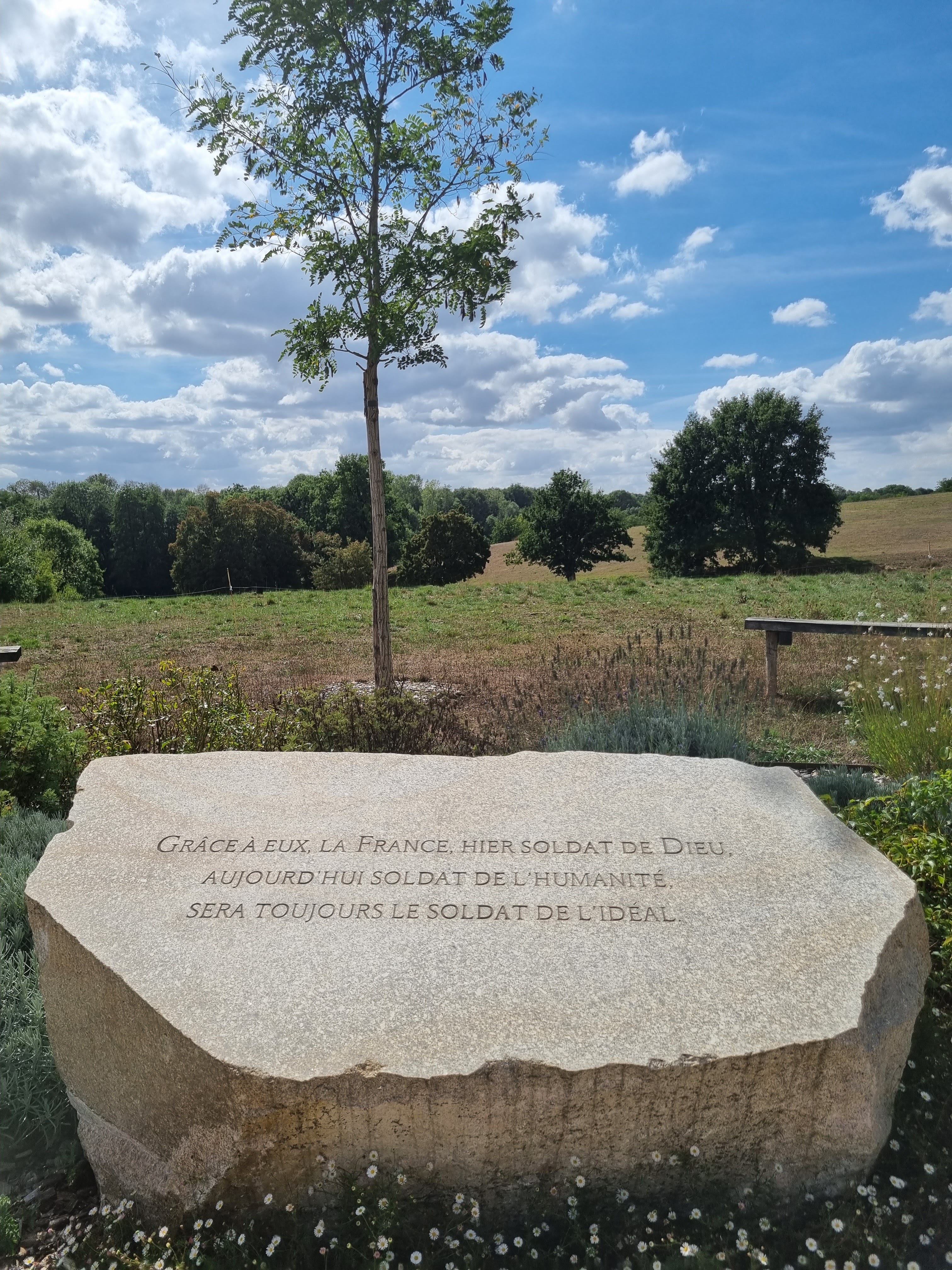 Photo n° 9 de l'avis de A-L.E fait le 14/09/2022 à 12:05