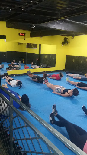 Academia rota brasil fitness
