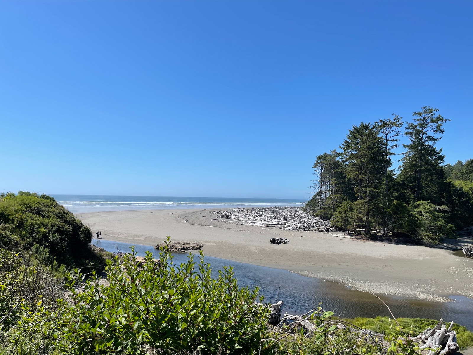 Kalaloch Beach的照片 具有非常干净级别的清洁度