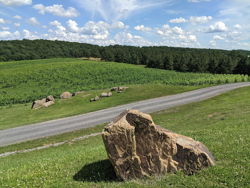 Winery «Blue Valley Vineyard And Winery», reviews and photos, 9402 Justice Ln, Delaplane, VA 20144, USA