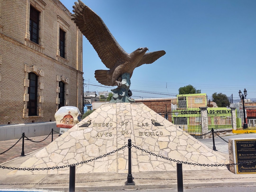 Museo de Las Aves de México