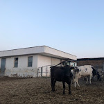 Photo n°2 de l'avis de Leone.o fait le 08/08/2018 à 21:05 sur le  Agriturismo Scalelle à Otranto