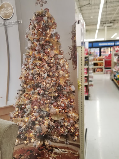 Discount Store «Big Lots», reviews and photos, 6777 Winchester Rd, Memphis, TN 38115, USA